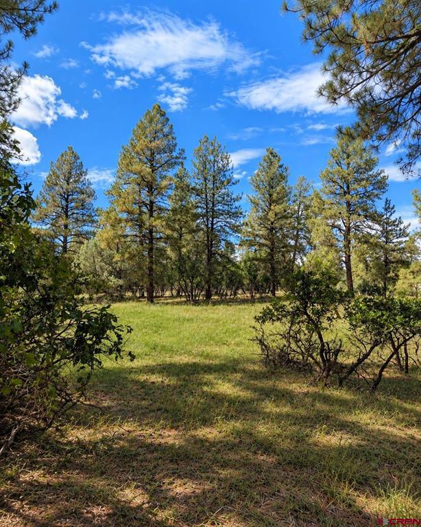 730 Nutria Circle Pagosa Springs CO 81147