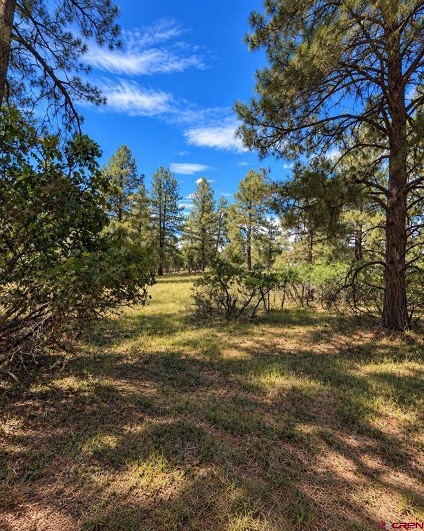730 Nutria Circle Pagosa Springs CO 81147