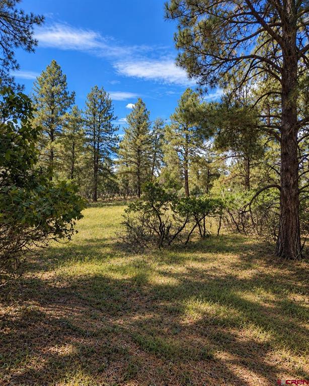 730 Nutria Circle Pagosa Springs CO 81147
