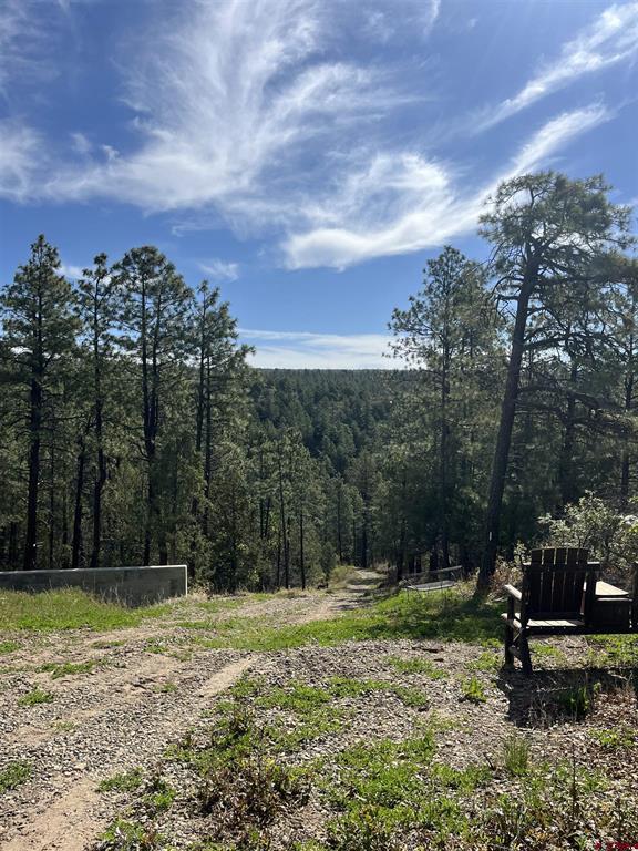 2444 Crooked Road Pagosa Springs CO 81147