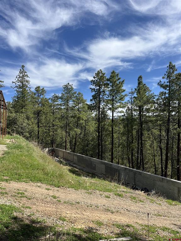 2444 Crooked Road Pagosa Springs CO 81147