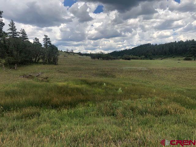 75 Ironwood Drive Pagosa Springs CO 81147