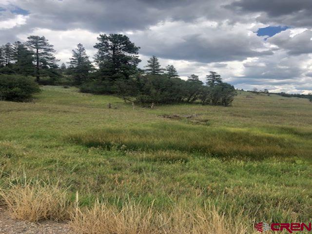 75 Ironwood Drive Pagosa Springs CO 81147