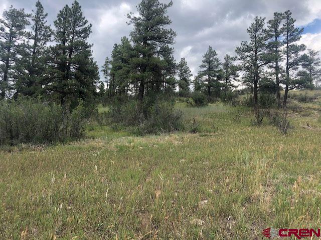 75 Ironwood Drive Pagosa Springs CO 81147