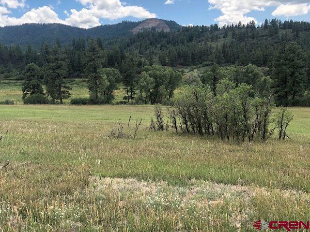 75 Ironwood Drive Pagosa Springs CO 81147