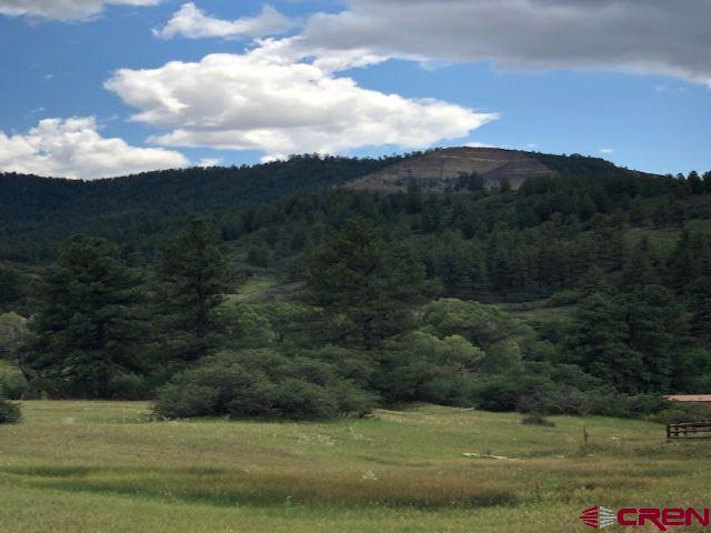 75 Ironwood Drive Pagosa Springs CO 81147