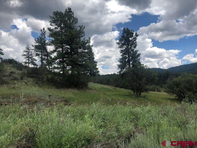 75 Ironwood Drive Pagosa Springs CO 81147
