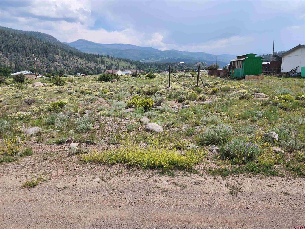 38 Cedar Drive South Fork CO 81154