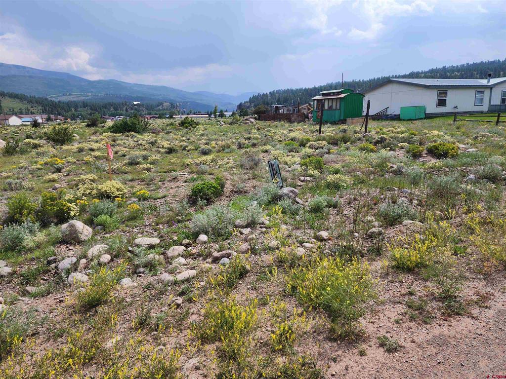 38 Cedar Drive South Fork CO 81154