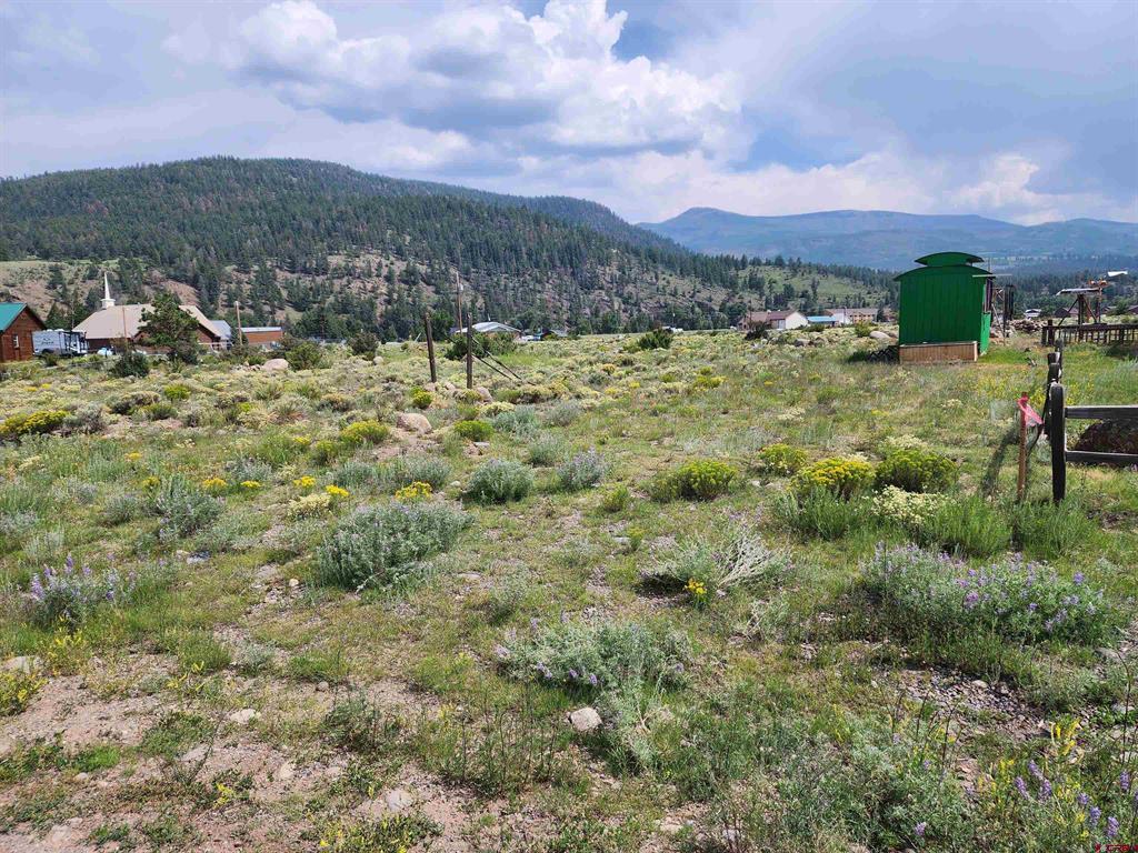 38 Cedar Drive South Fork CO 81154