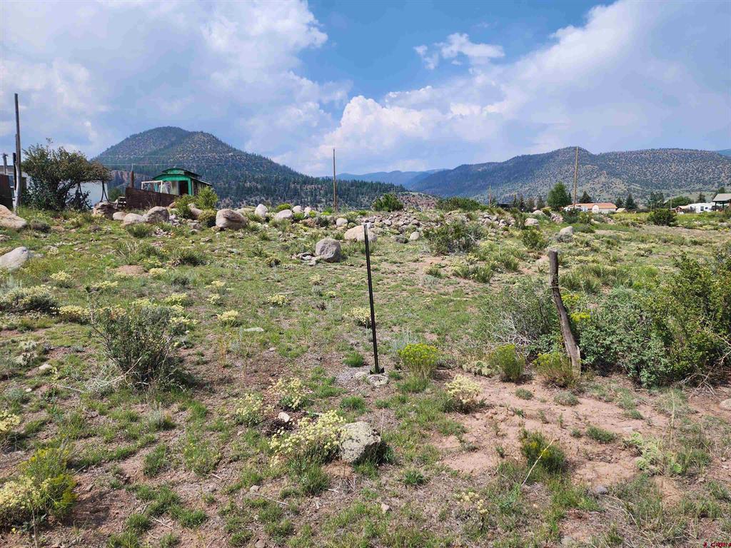 38 Cedar Drive South Fork CO 81154