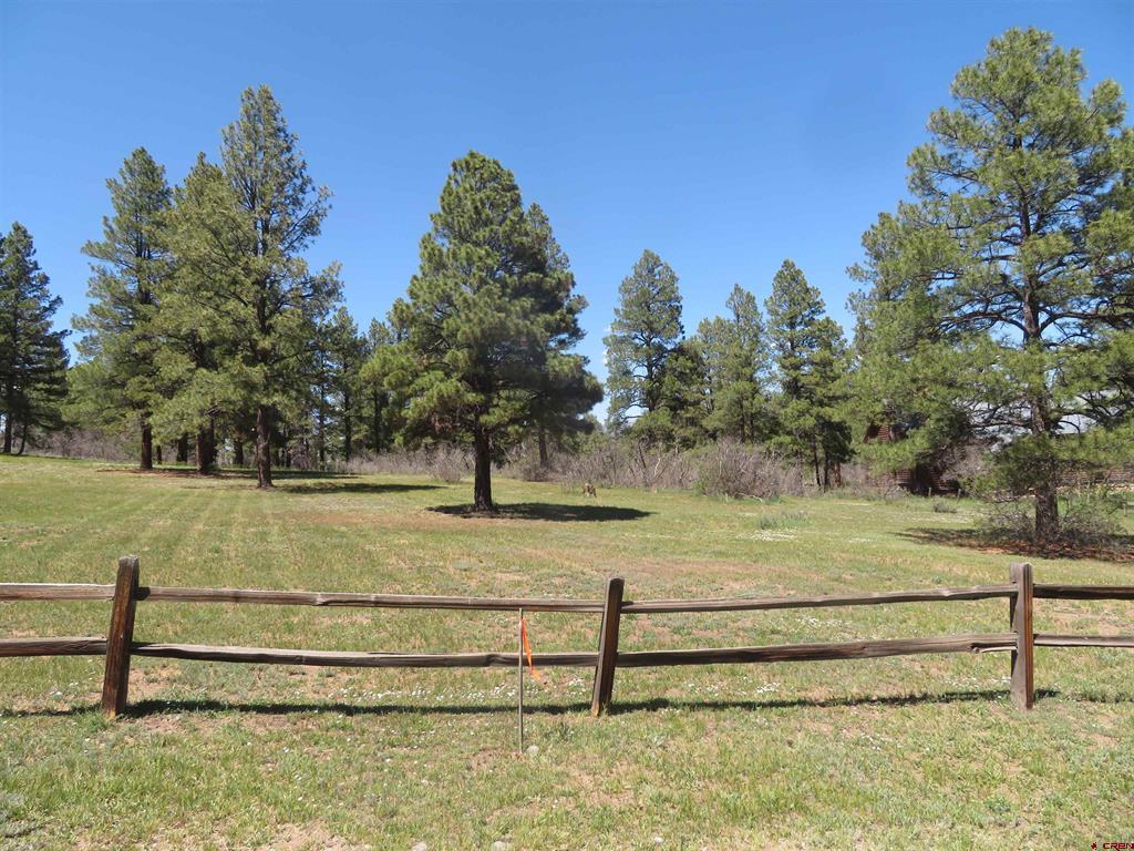 Pagosa Springs CO, 393 Martinez
