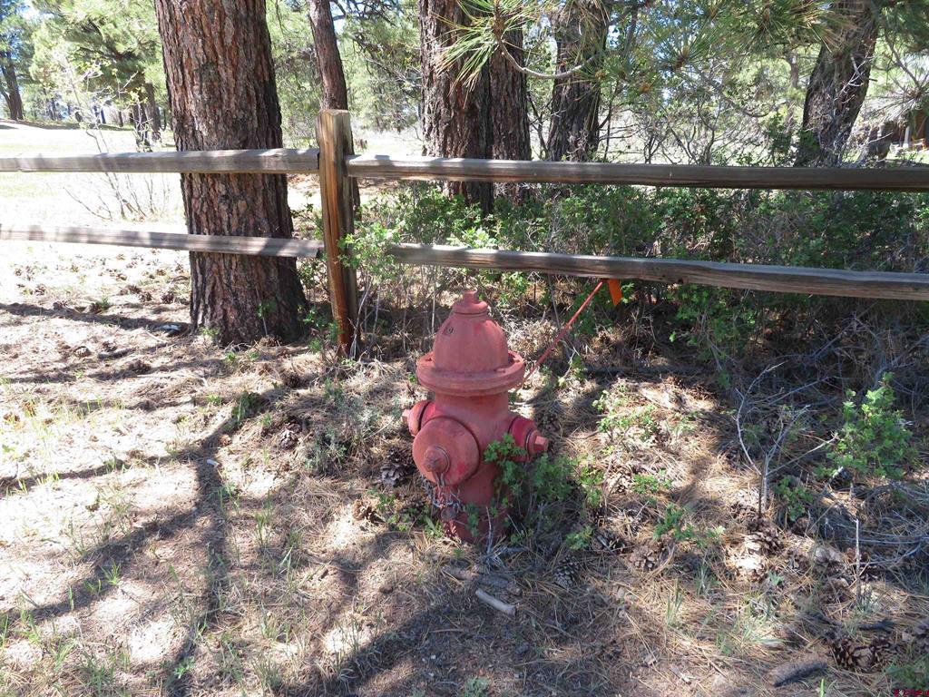 393 Martinez Place Pagosa Springs CO 81147