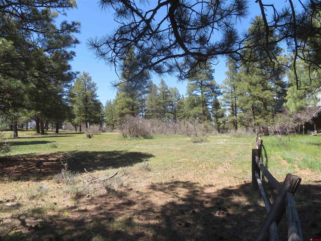 393 Martinez Place Pagosa Springs CO 81147