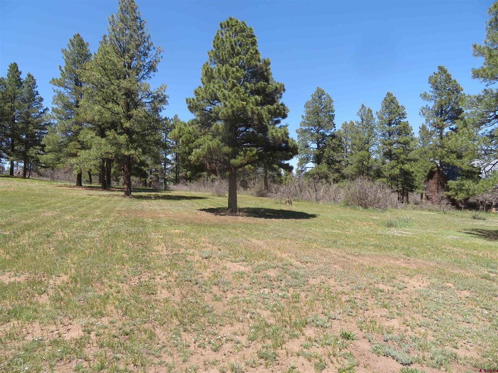 393 Martinez Place Pagosa Springs CO 81147