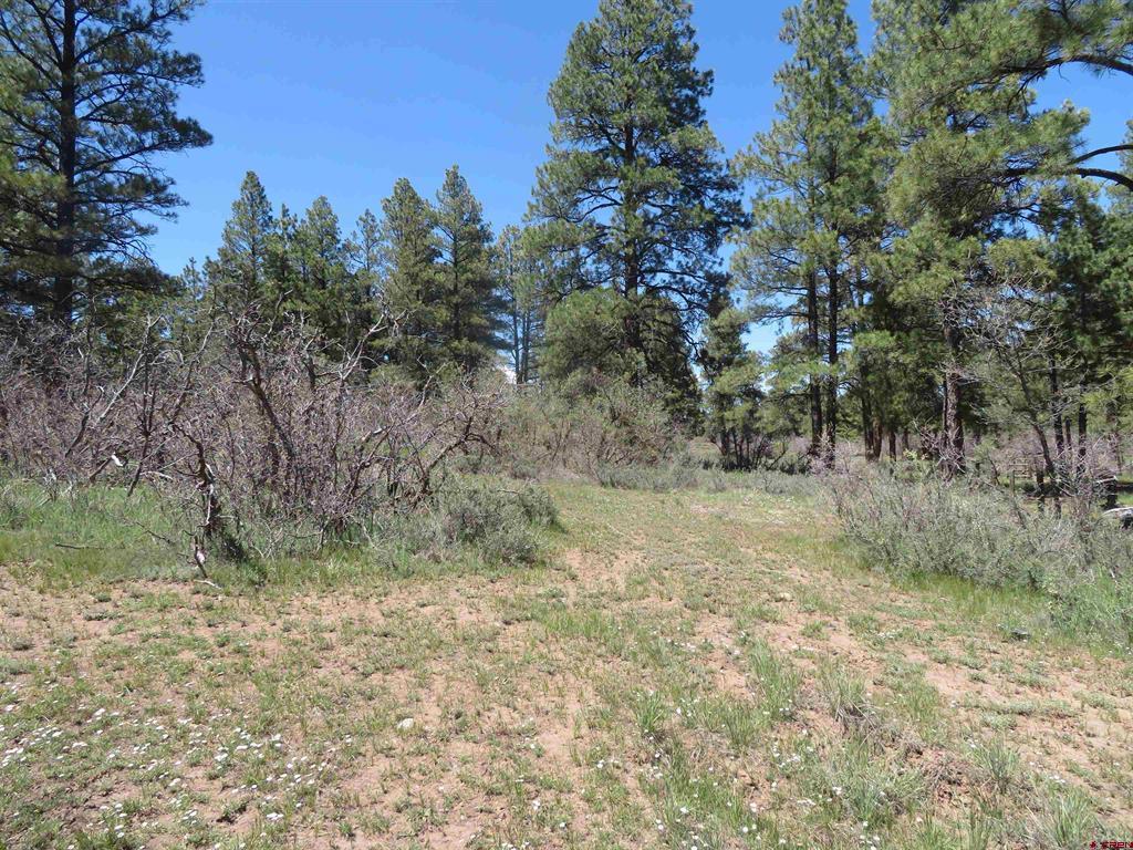 393 Martinez Place Pagosa Springs CO 81147