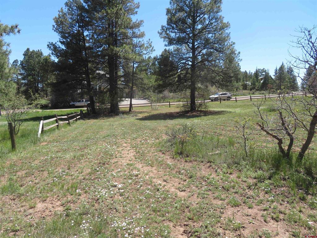 393 Martinez Place Pagosa Springs CO 81147