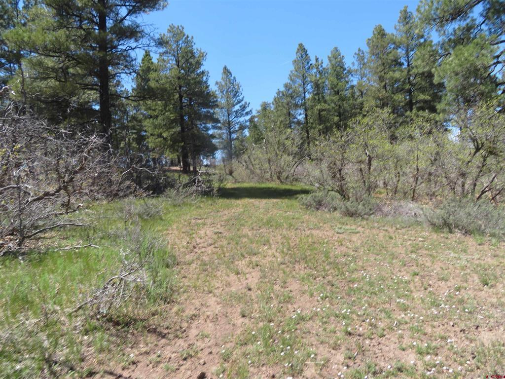 393 Martinez Place Pagosa Springs CO 81147