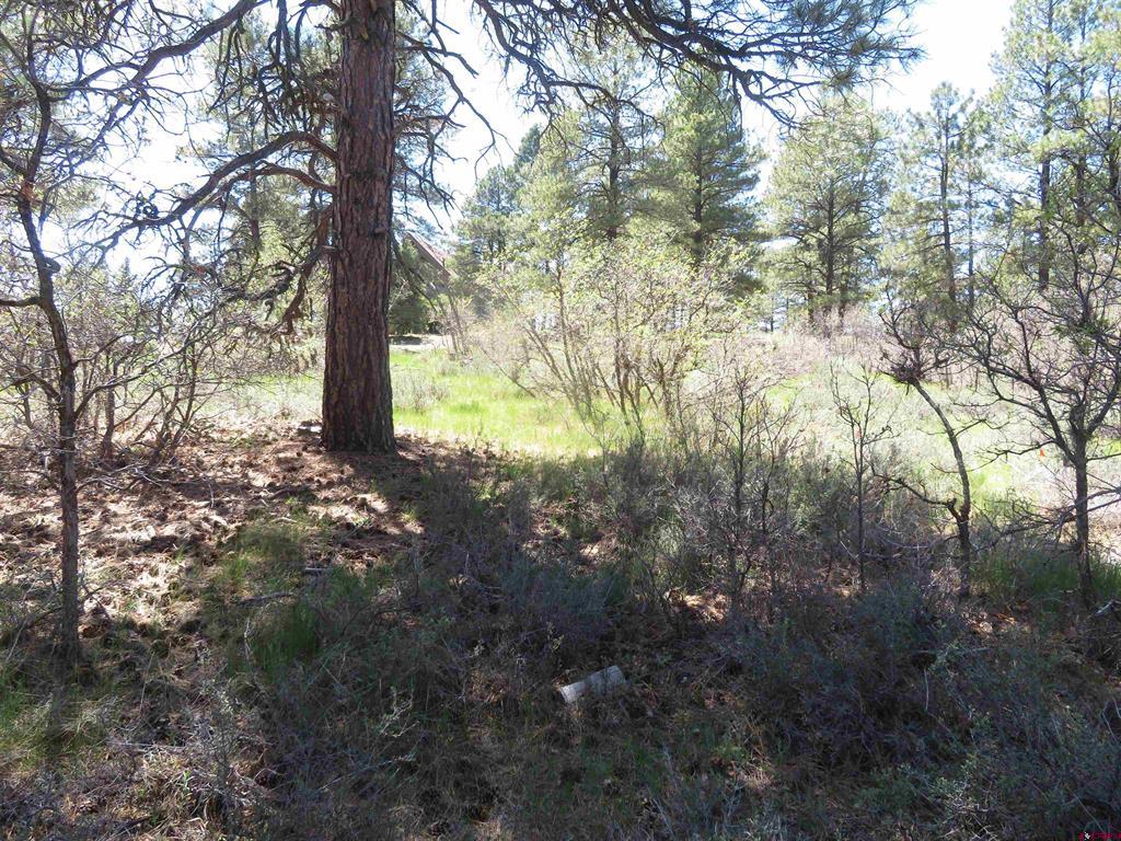 393 Martinez Place Pagosa Springs CO 81147
