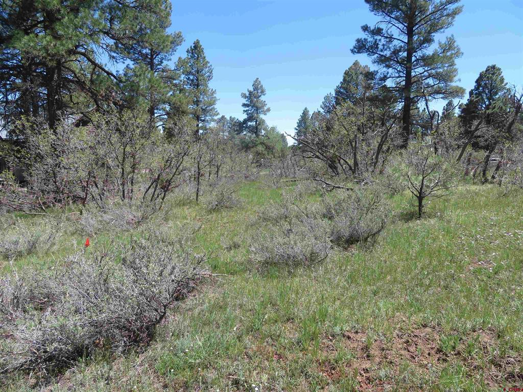 393 Martinez Place Pagosa Springs CO 81147