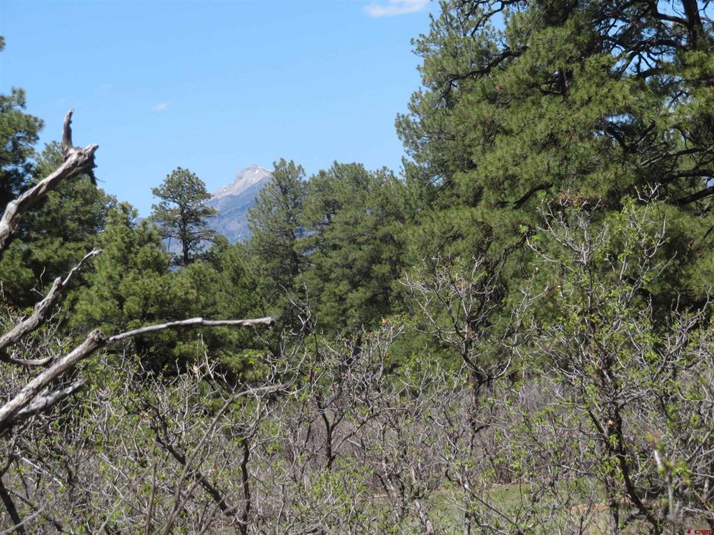 393 Martinez Place Pagosa Springs CO 81147