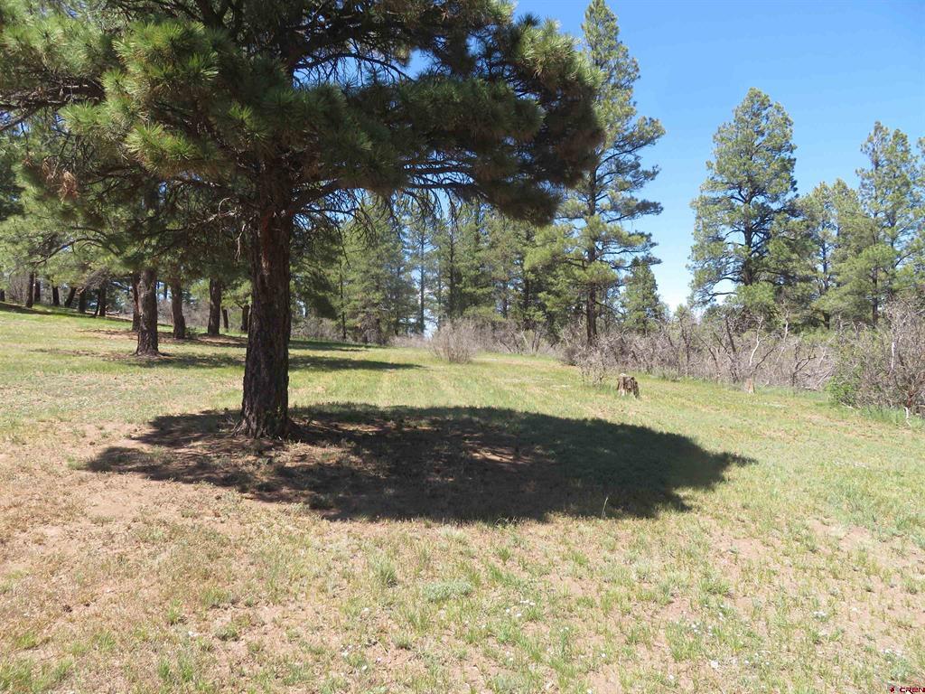 393 Martinez Place Pagosa Springs CO 81147