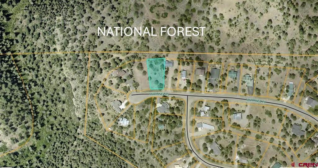 393 Martinez Place Pagosa Springs CO 81147