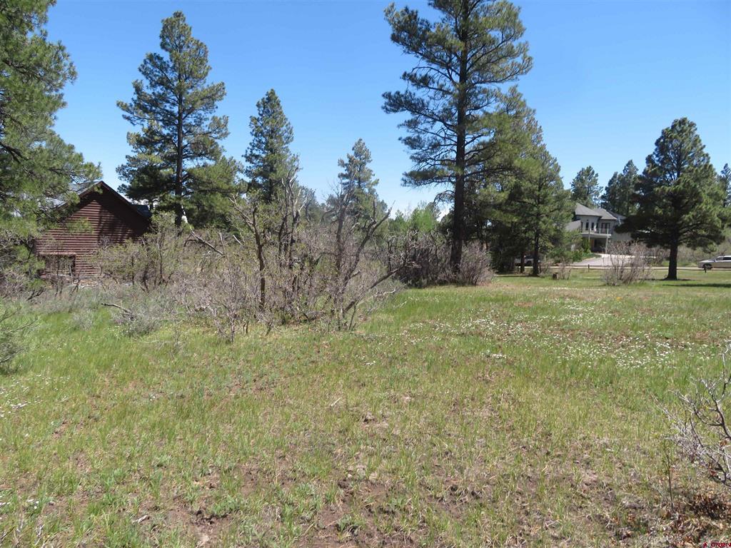 393 Martinez Place Pagosa Springs CO 81147