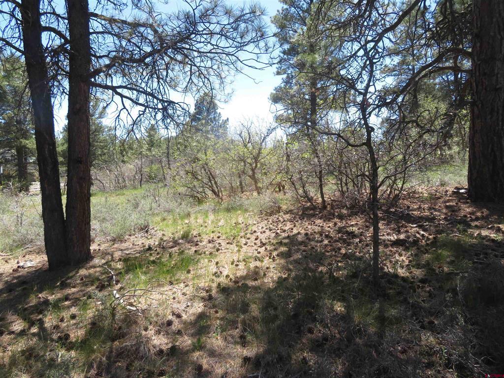 393 Martinez Place Pagosa Springs CO 81147