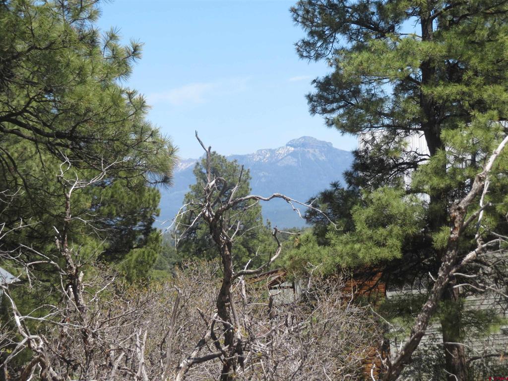 393 Martinez Place Pagosa Springs CO 81147