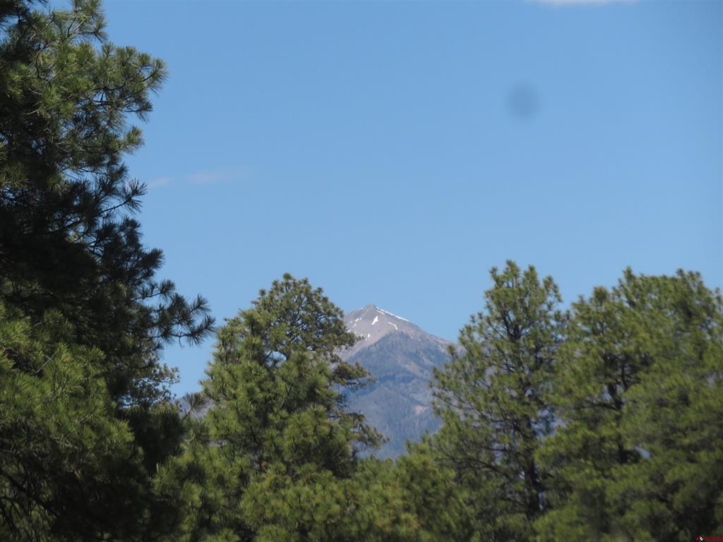 393 Martinez Place Pagosa Springs CO 81147