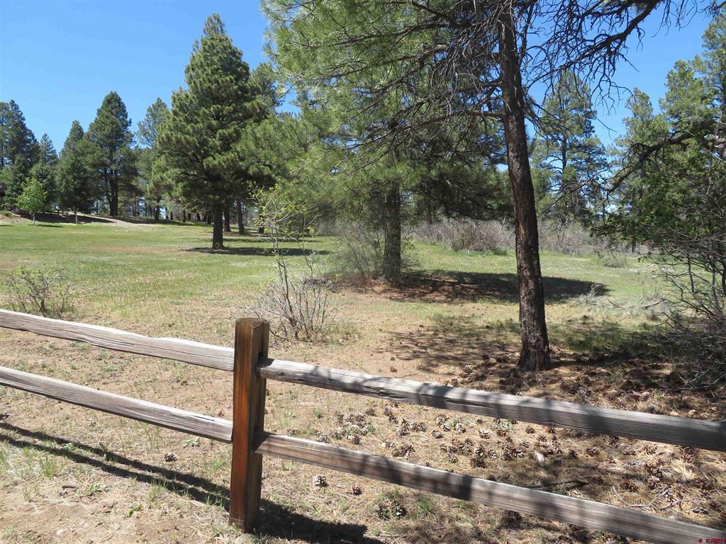 393 Martinez Place Pagosa Springs CO 81147