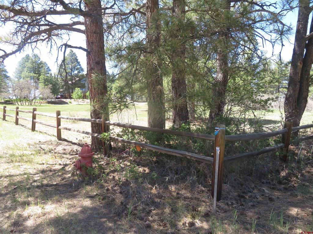 393 Martinez Place Pagosa Springs CO 81147