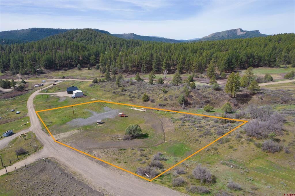 X Badger Place Pagosa Springs CO 81147