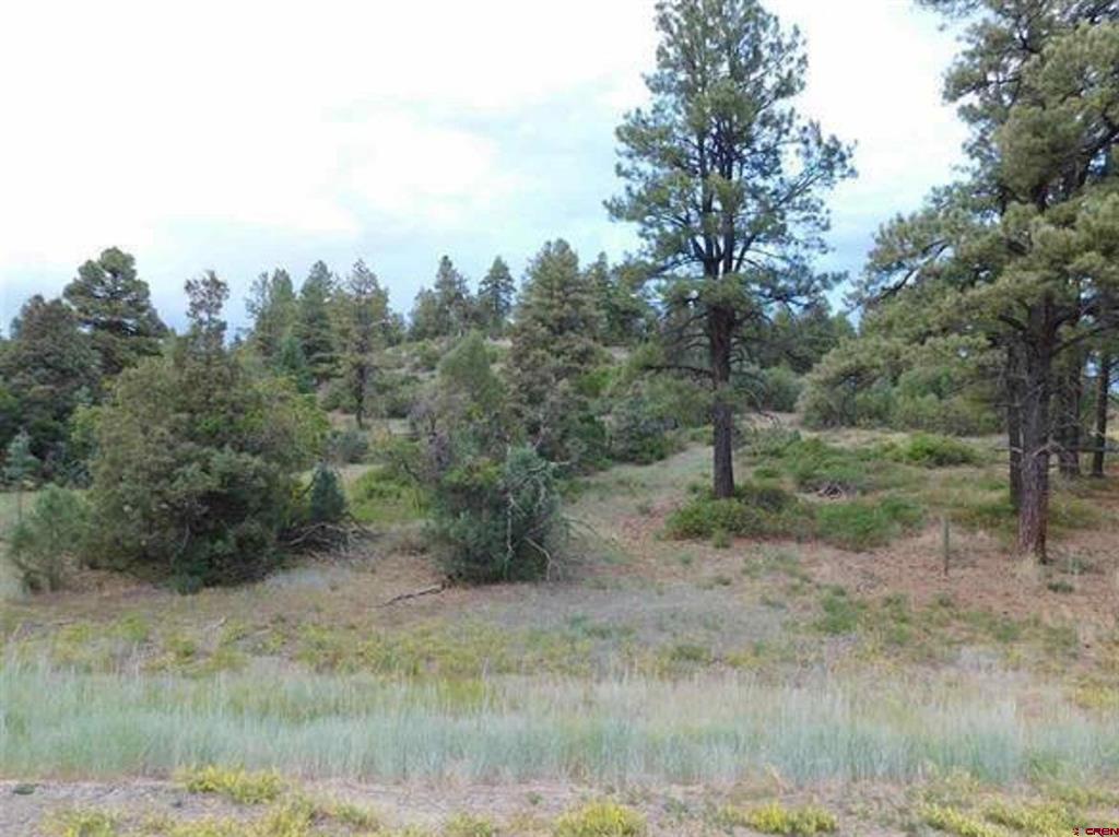 300 Shooting Star Drive Pagosa Springs CO 81147