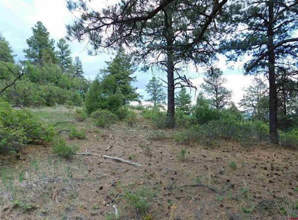 300 Shooting Star Drive Pagosa Springs CO 81147