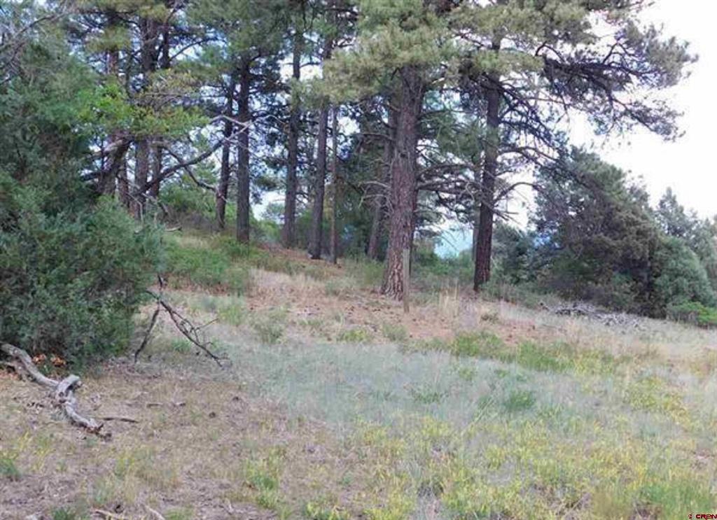 300 Shooting Star Drive Pagosa Springs CO 81147