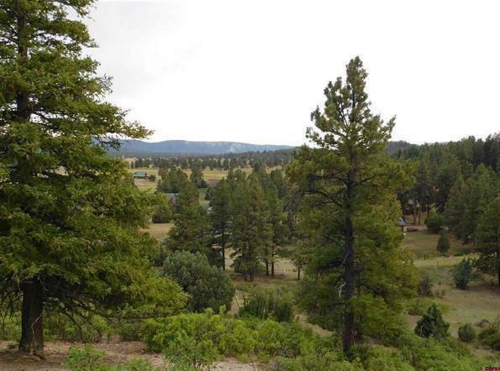 300 Shooting Star Drive Pagosa Springs CO 81147