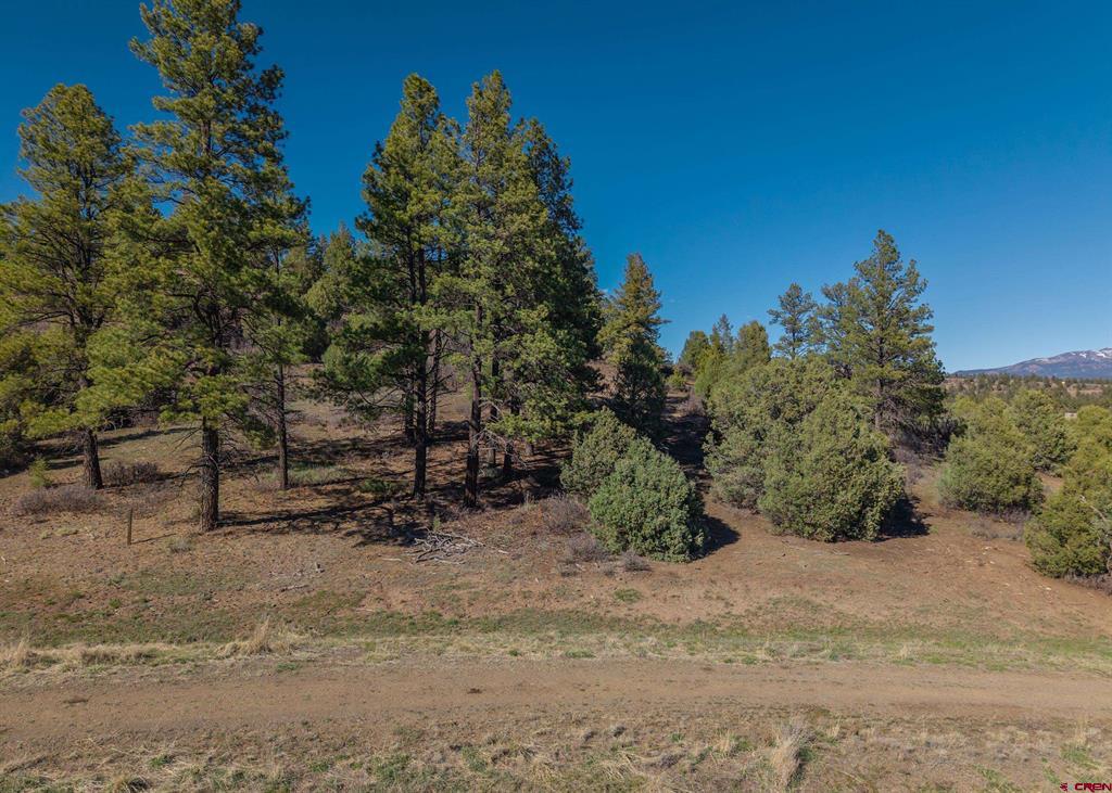 300 Shooting Star Drive Pagosa Springs CO 81147