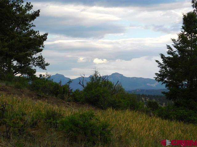 300 Shooting Star Drive Pagosa Springs CO 81147