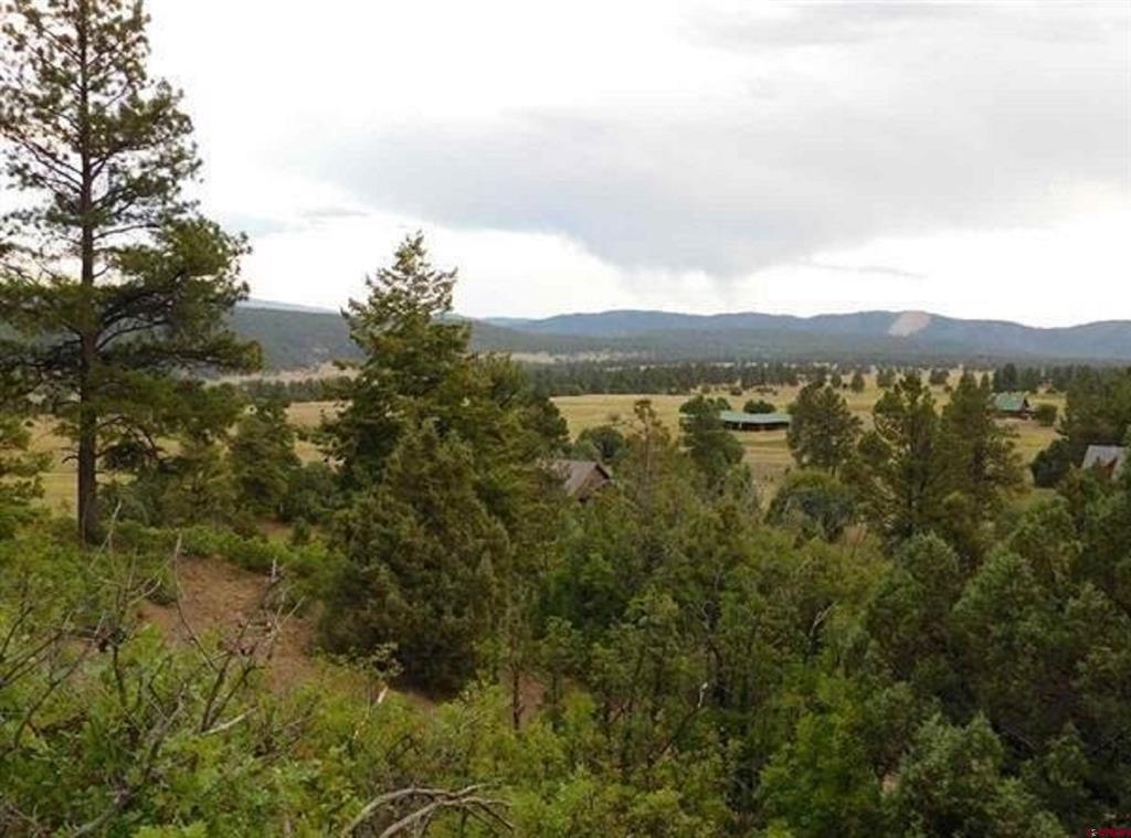 300 Shooting Star Drive Pagosa Springs CO 81147