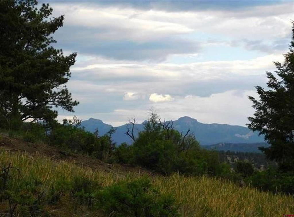 300 Shooting Star Drive Pagosa Springs CO 81147