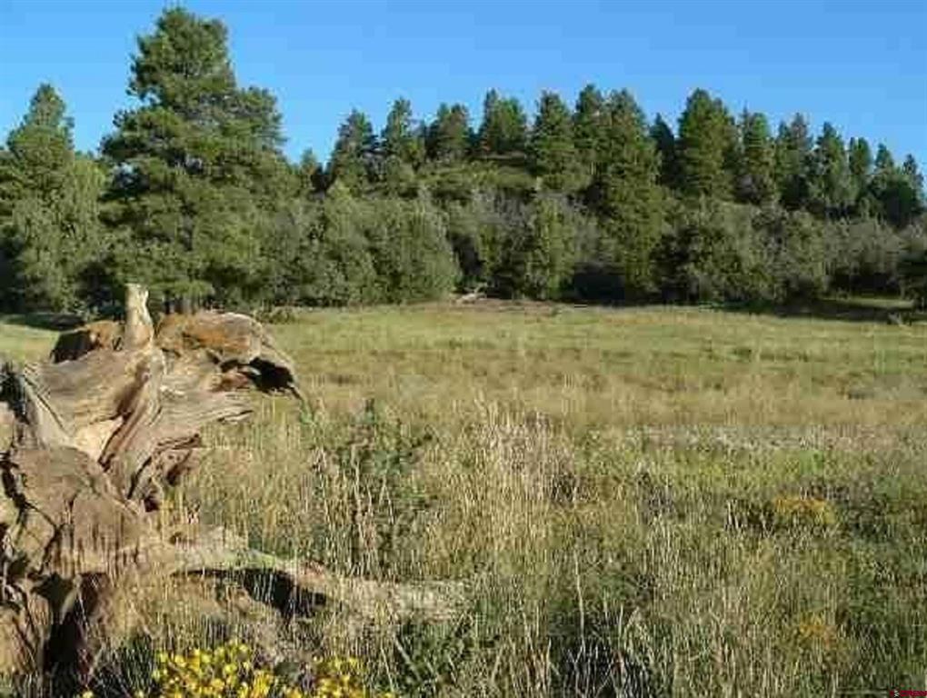 300 Shooting Star Drive Pagosa Springs CO 81147
