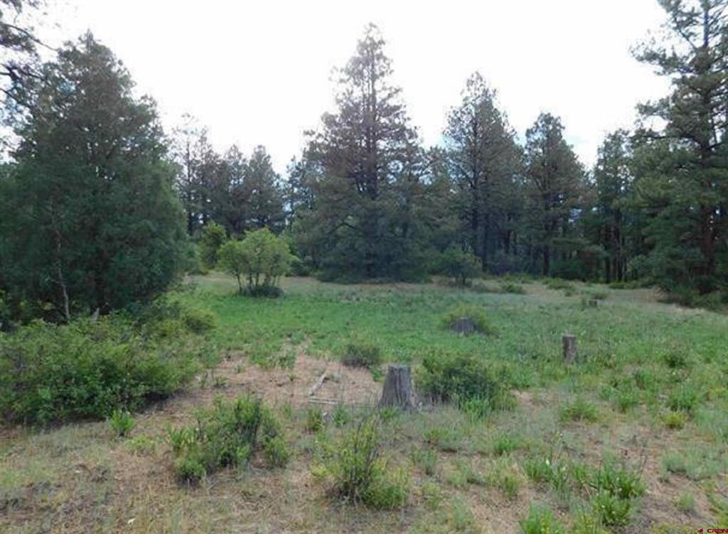 300 Shooting Star Drive Pagosa Springs CO 81147