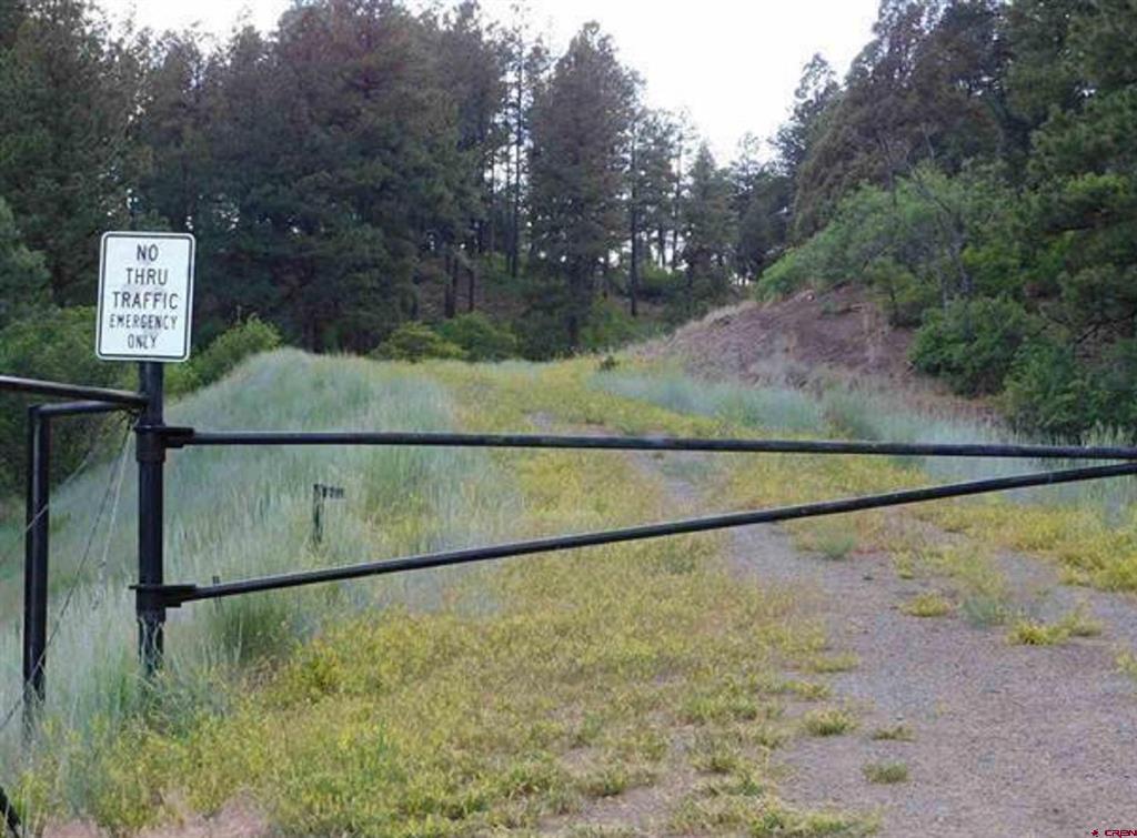 300 Shooting Star Drive Pagosa Springs CO 81147