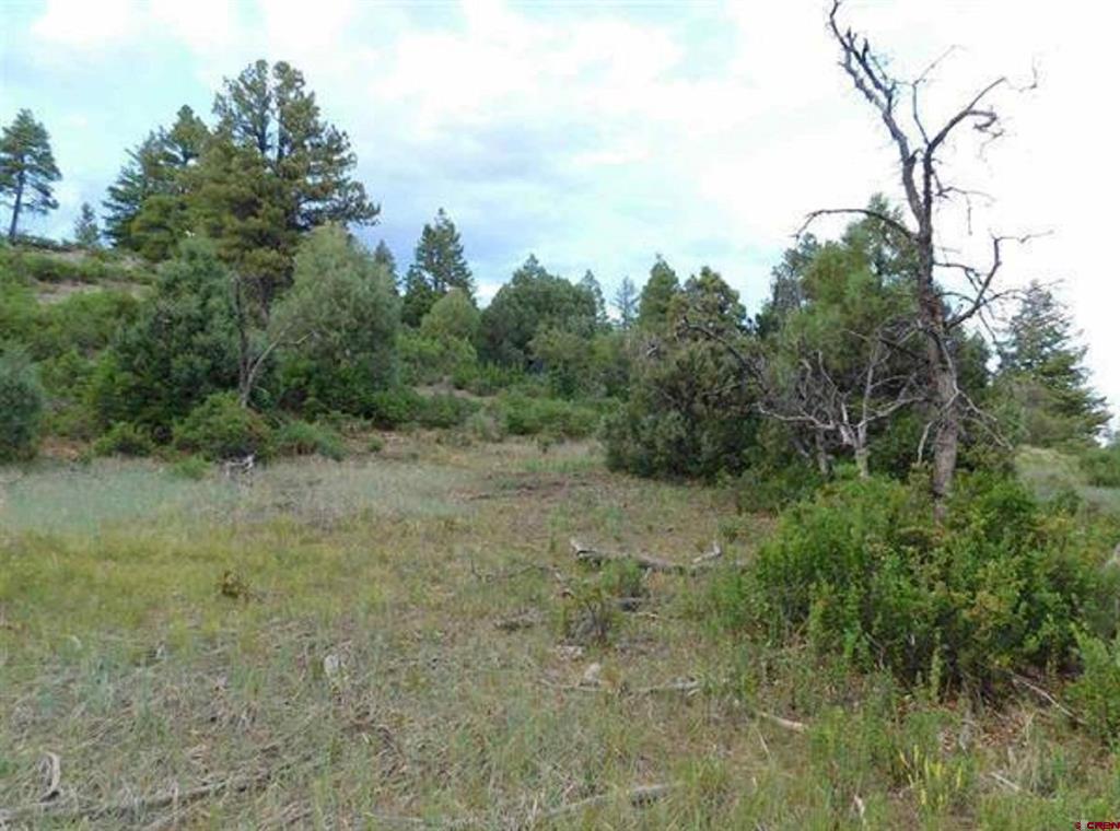 300 Shooting Star Drive Pagosa Springs CO 81147