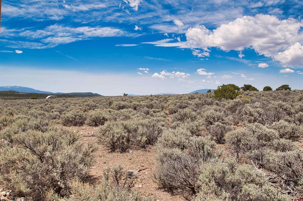 Lot 10-11 Mesa Drive West San Luis CO 81152