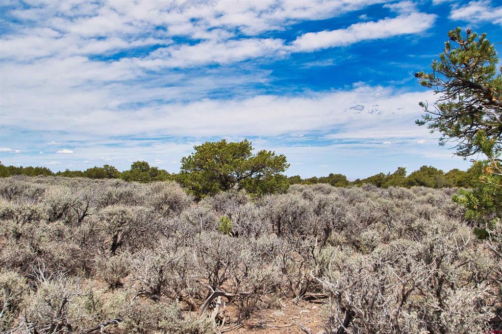 Lot 10-11 Mesa Drive West San Luis CO 81152