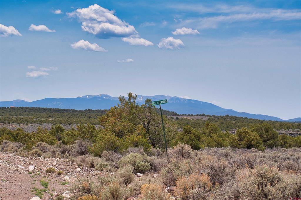 Lot 10-11 Mesa Drive West San Luis CO 81152
