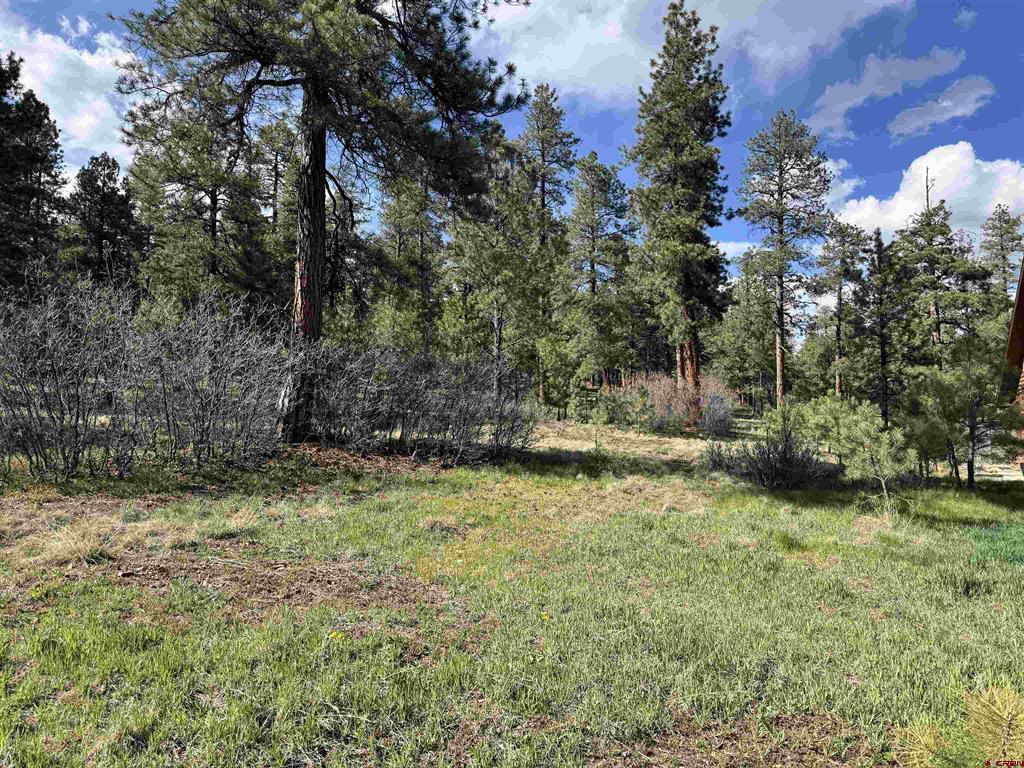 51 Diamond Court Pagosa Springs CO 81147